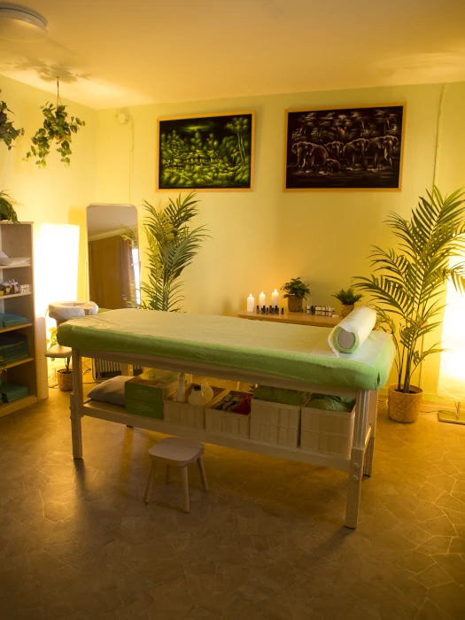 miestnosť s masérskym stolom, príjemným osvetlením a zelenými rastlinami